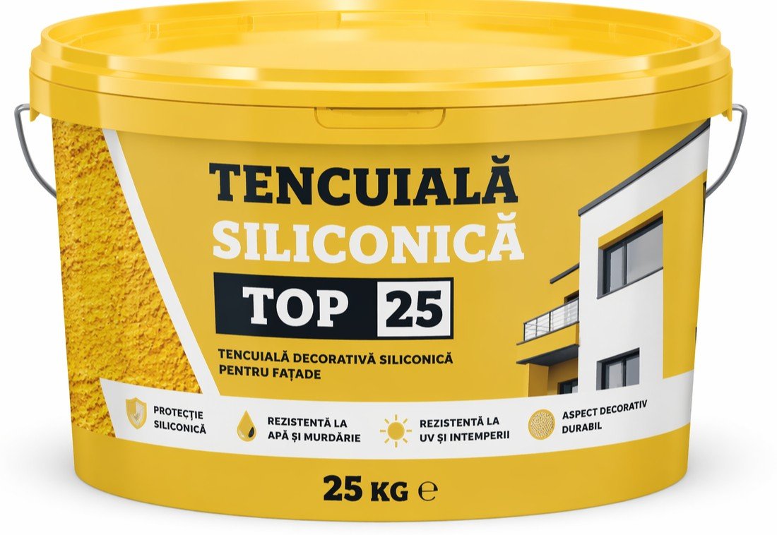 TENCUIALA DECORATIVA SILICONICA  TOP 25 KG