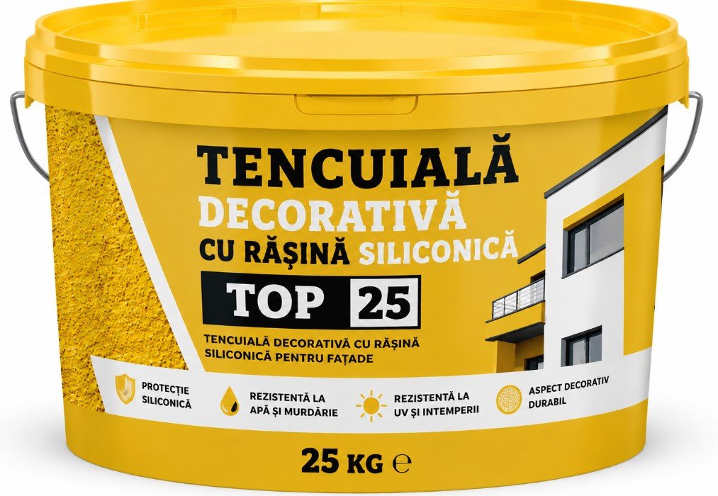 TENCUIALA DECORATIVA SILICONICA  TOP 25 KG